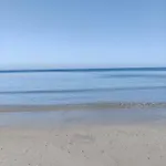 Carlo's 트라파니