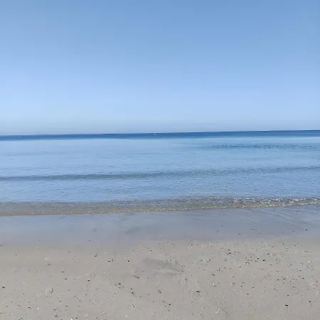 Carlo's Trapani
